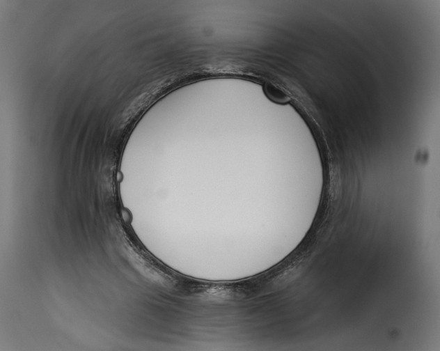 X0000115250441200911201646