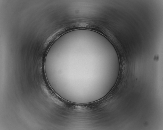 X0000115250442200911201646