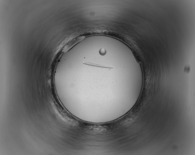 X0000115250443200911201646