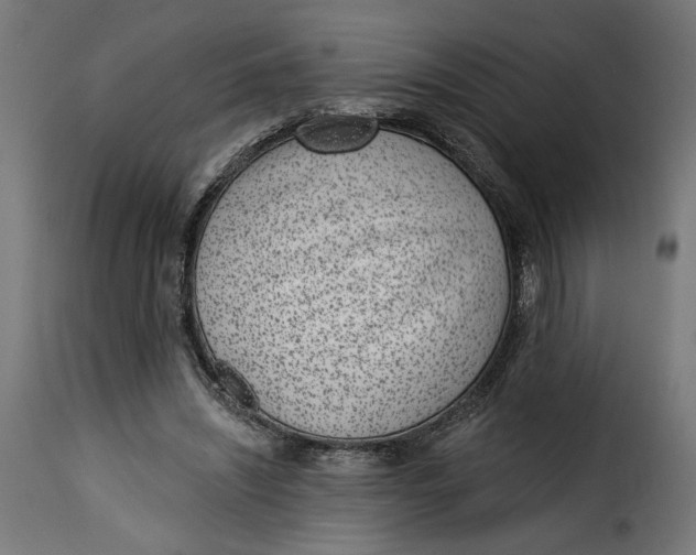 X0000115250444200911201646