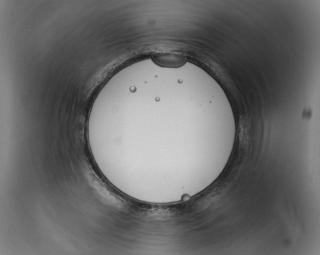 X0000115250445200911201646