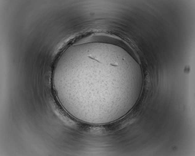 X0000115250446200911201646