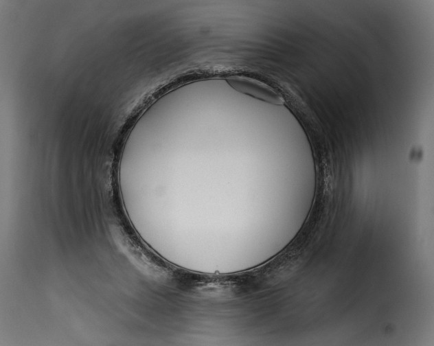 X0000115250447200911201646