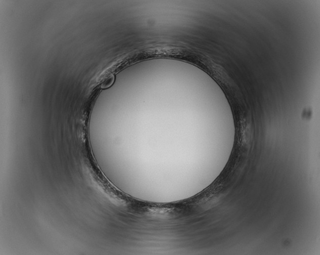 X0000115250450200911201646