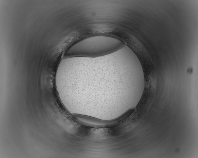 X0000115250452200911201646