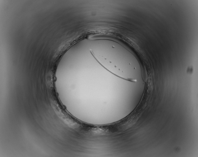 X0000115250453200911201646