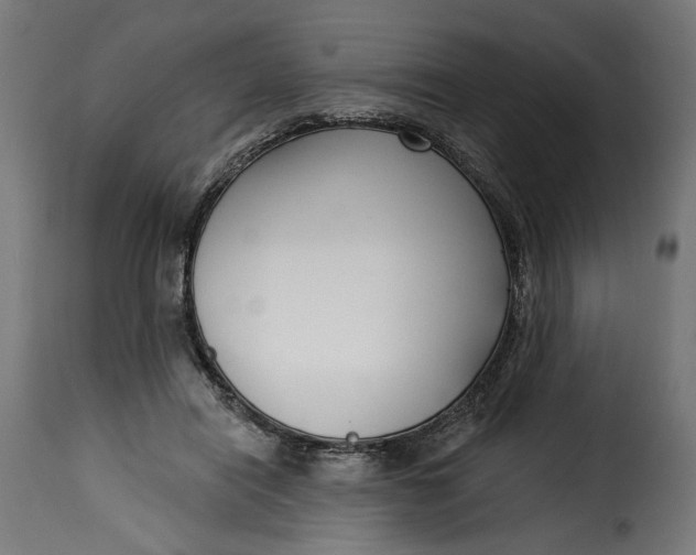 X0000115250454200911201646