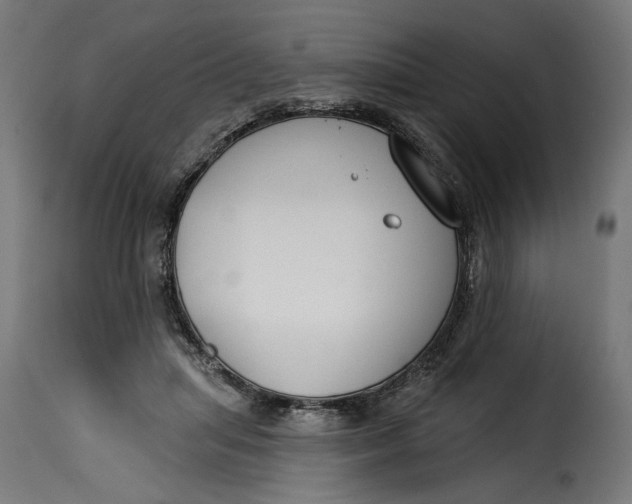 X0000115250455200911201646