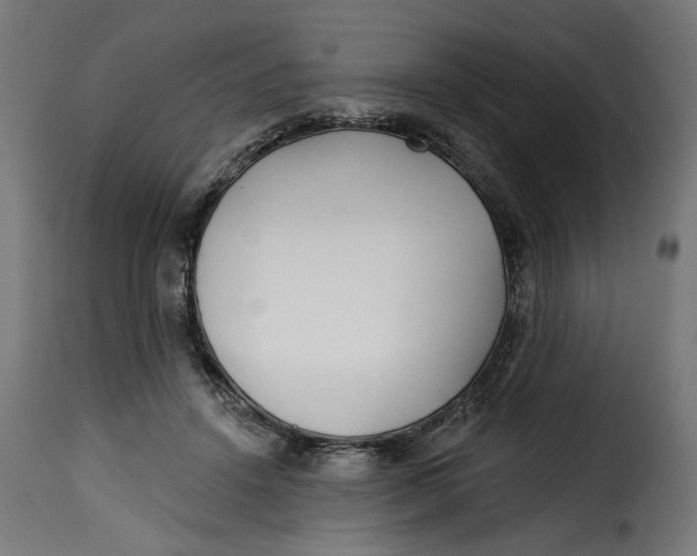 X0000115250456200911201646