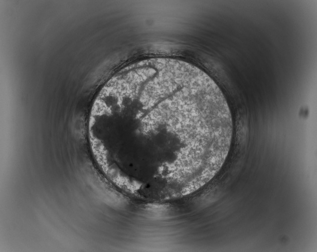 X0000115250457200911201646