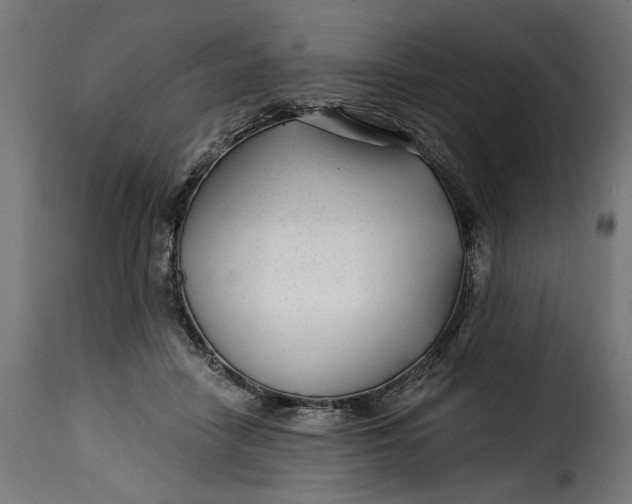 X0000115250458200911201646