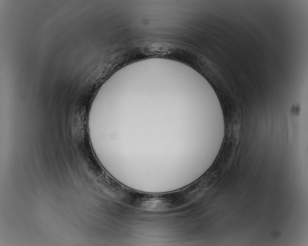 X0000115250460200911201646