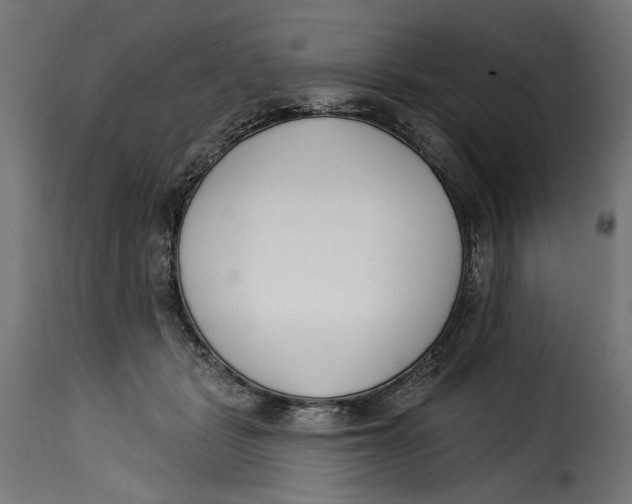 X0000115250461200911201646