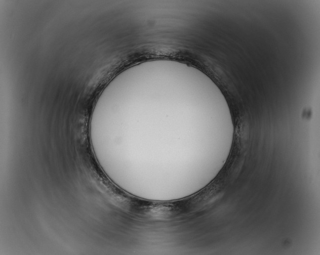 X0000115250462200911201646