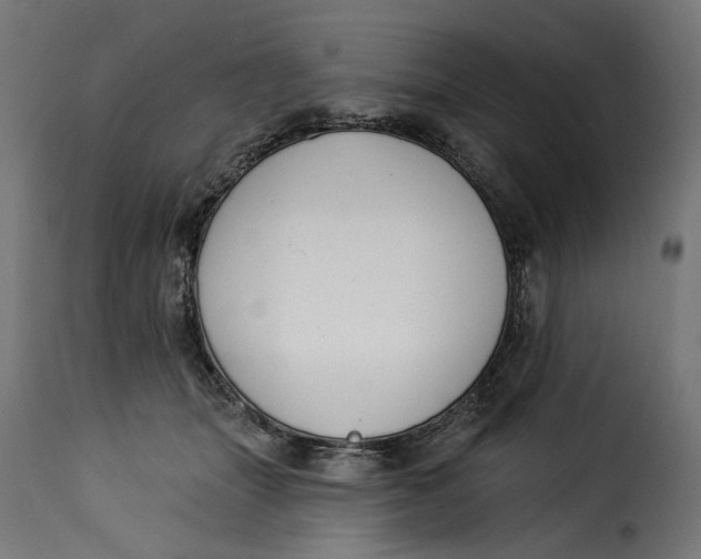 X0000115250463200911201646