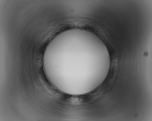 X0000115250464200911201646