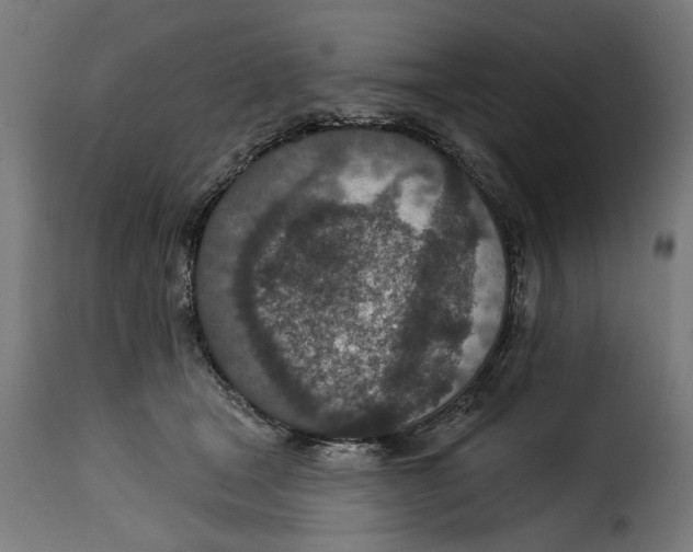 X0000115250465200911201646