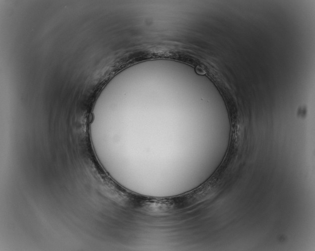 X0000115250466200911201646