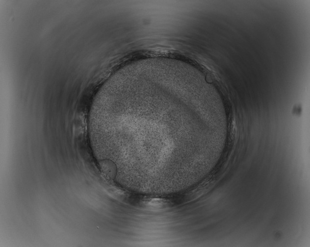 X0000115250467200911201646