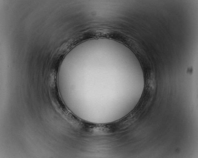 X0000115250468200911201646