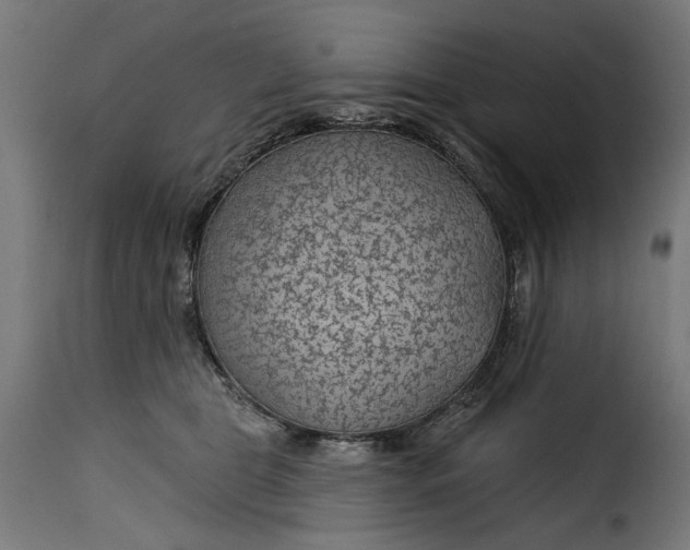 X0000115250469200911201646