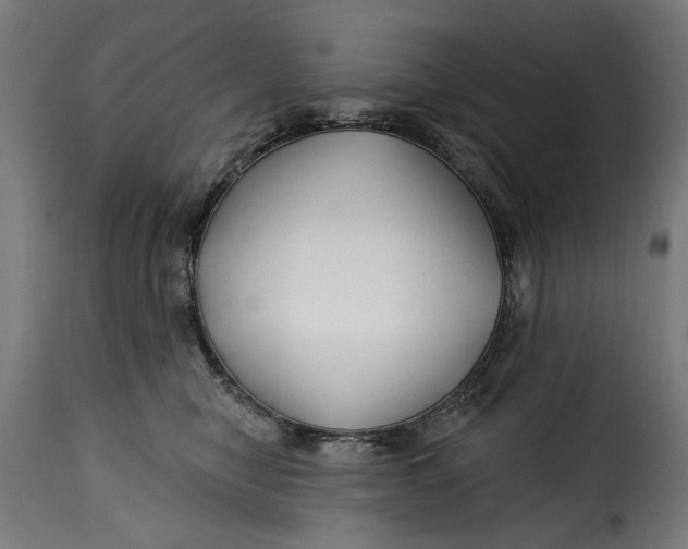 X0000115250470200911201646