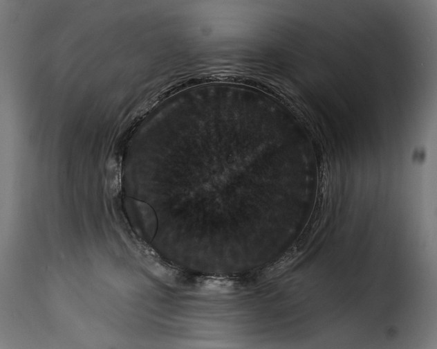 X0000115250471200911201646