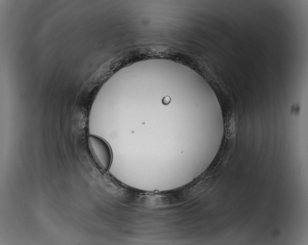 X0000115250472200911201646