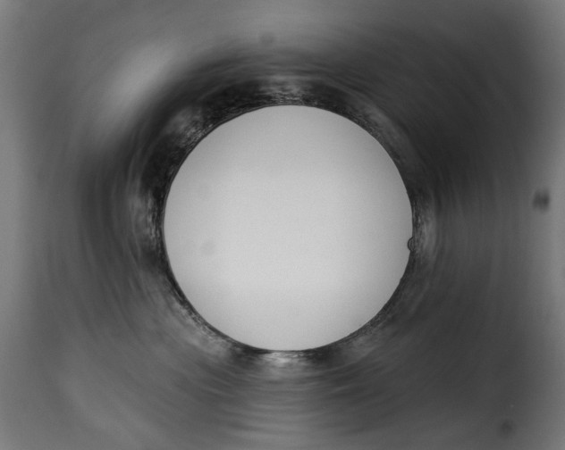 X0000115250477200911201646