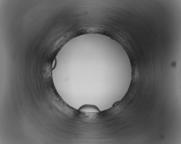 X0000115250478200911201646