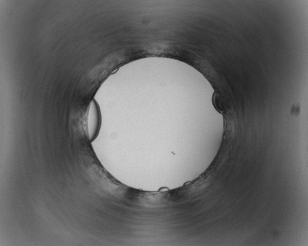 X0000115250479200911201646