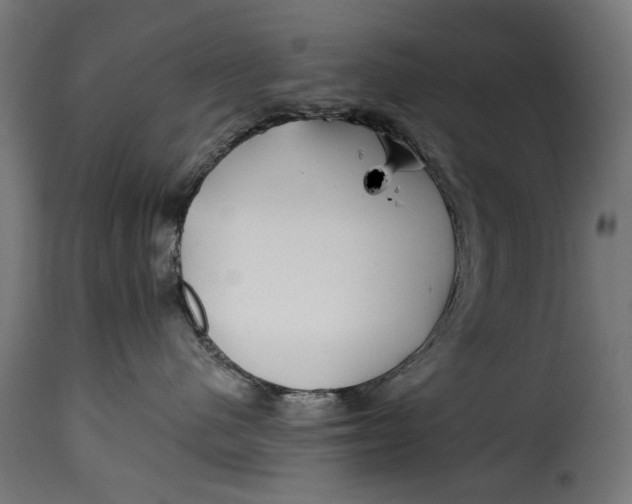 X0000115250480200911201646