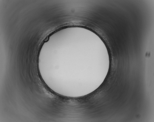 X0000115250481200911201646