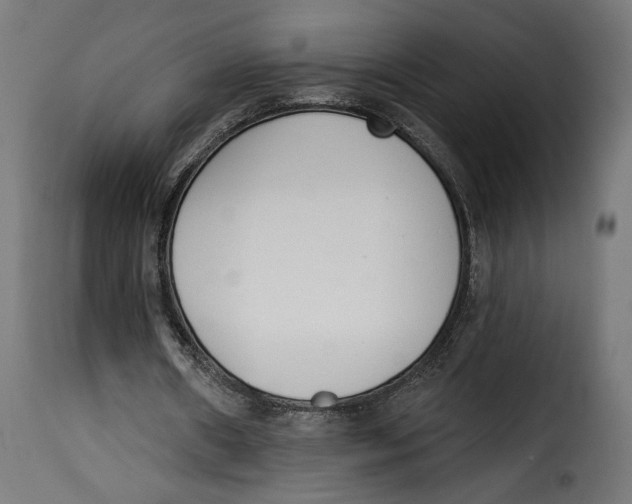 X0000115250482200911201646