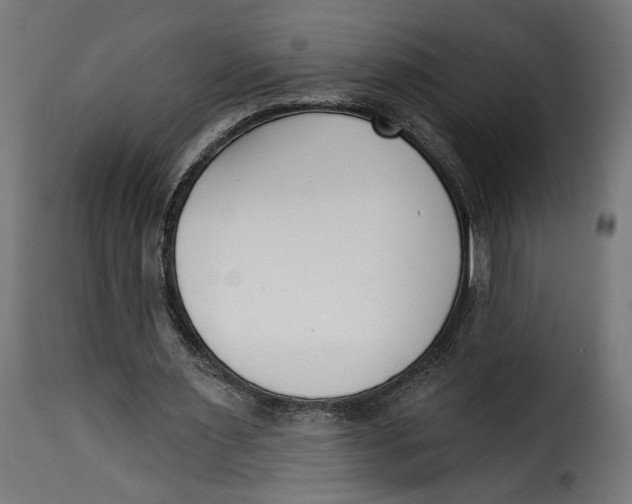 X0000115250483200911201646