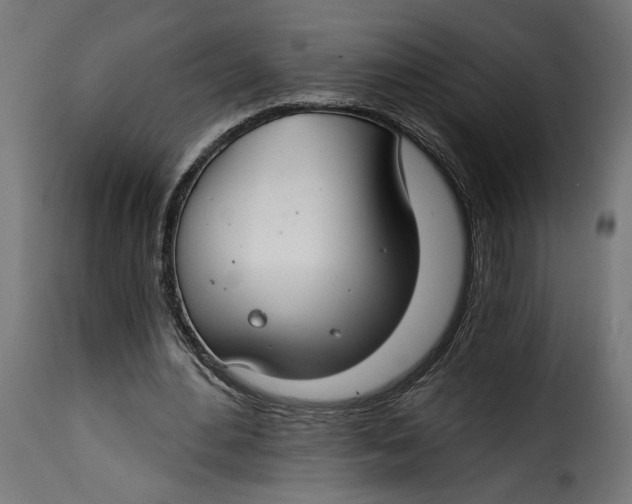 X0000115250484200911201646