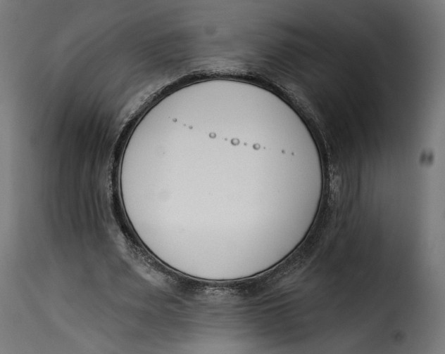 X0000115250487200911201646