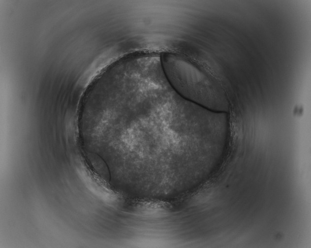 X0000115250488200911201646