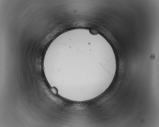 X0000115250489200911201646