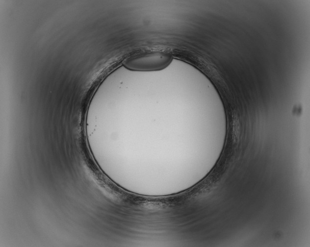 X0000115250490200911201646