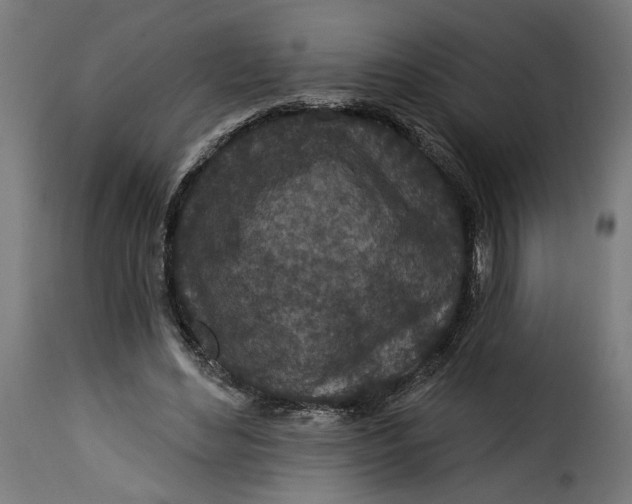 X0000115250492200911201646