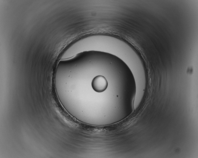 X0000115250493200911201646