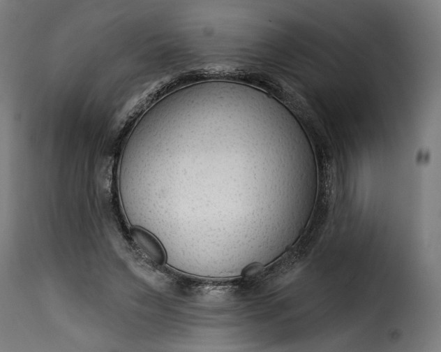 X0000115250495200911201646