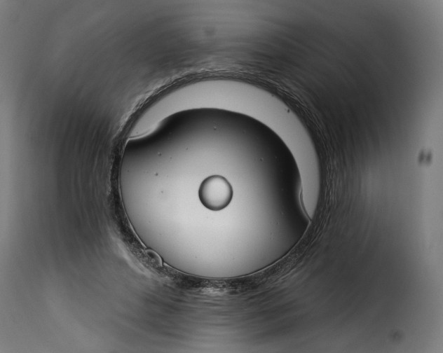 X0000115250496200911201646