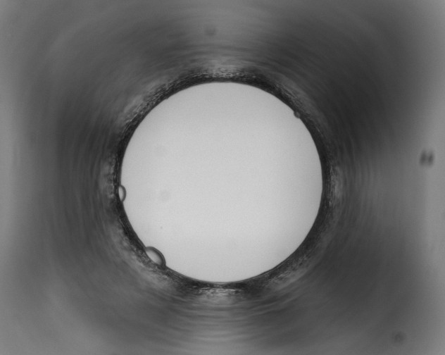 X0000115250497200911201646