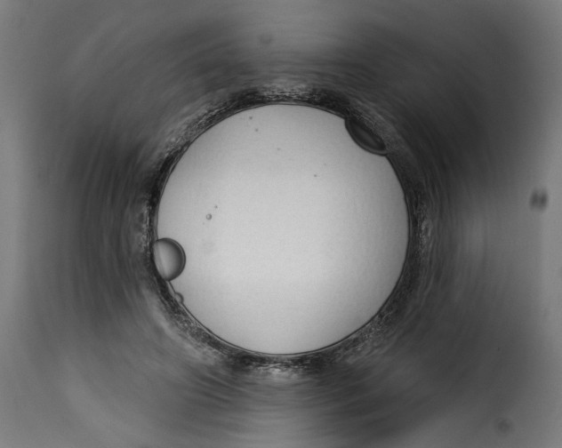 X0000115250498200911201645