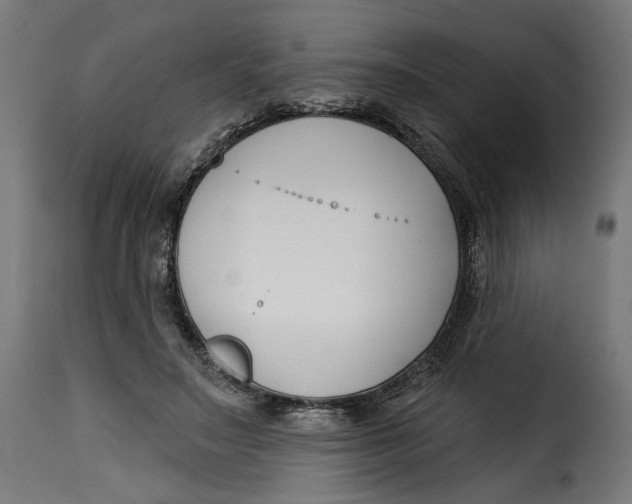 X0000115250499200911201645