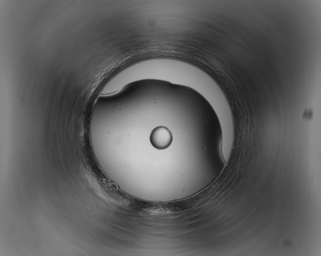 X0000115250500200911201645