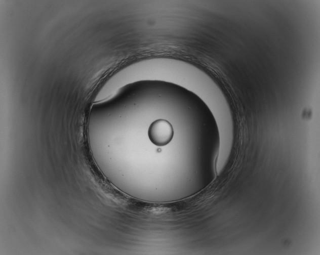 X0000115250501200911201645