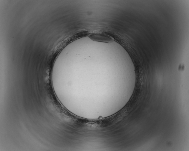 X0000115250502200911201645